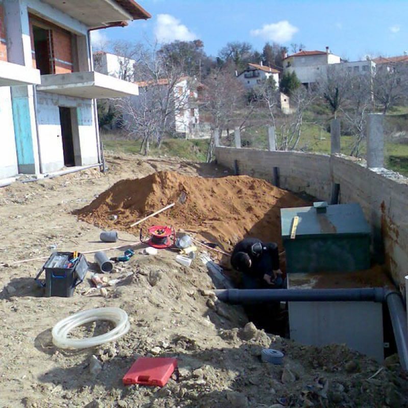 peristera_vasilika_viologikos_kauarismos__limaton01